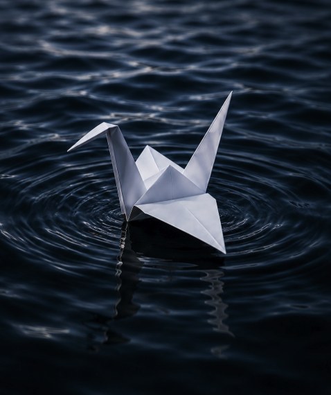 A paper crane floating on dark water